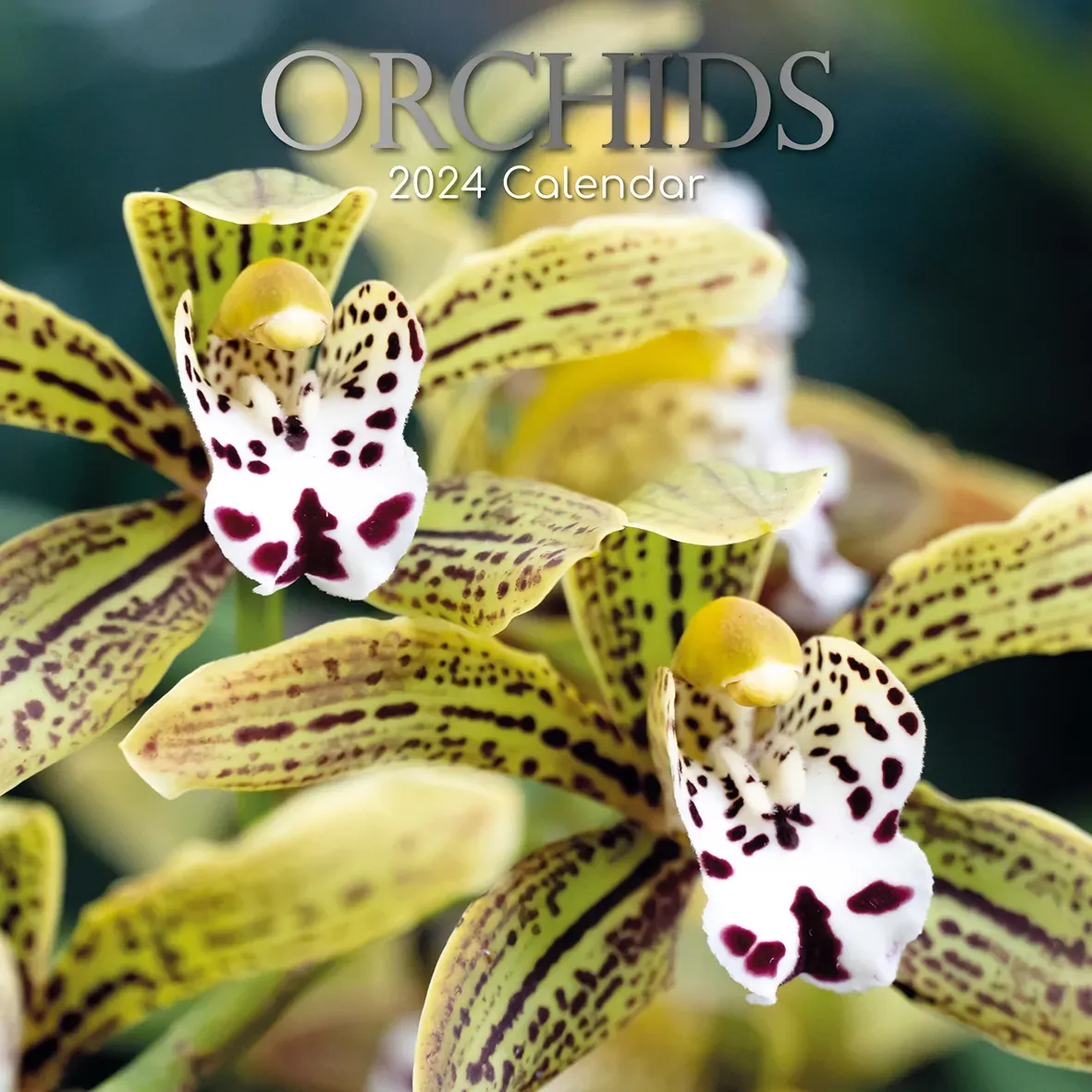 Orchids 2024 Square Wall Calendar 16Month Floral Planner Christmas New Year Gift Orchids 2024 Square Wall Calendar 16Month Floral Planner Christmas New Year Gift