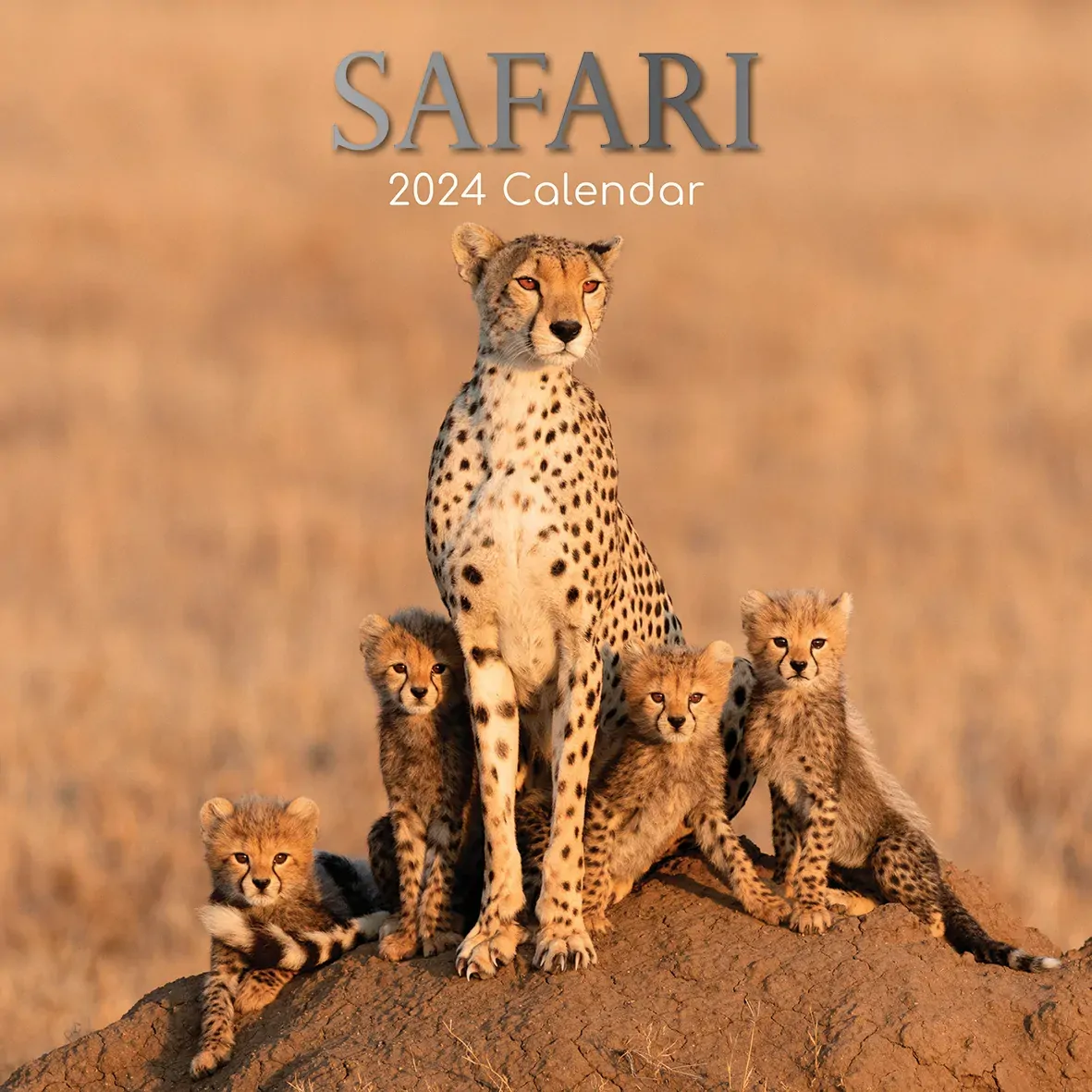 Safari 2024 Square Wall Calendar 16Month Premium Planner Christmas New Year Gift Safari 2024 Square Wall Calendar 16Month Premium Planner Christmas New Year Gift