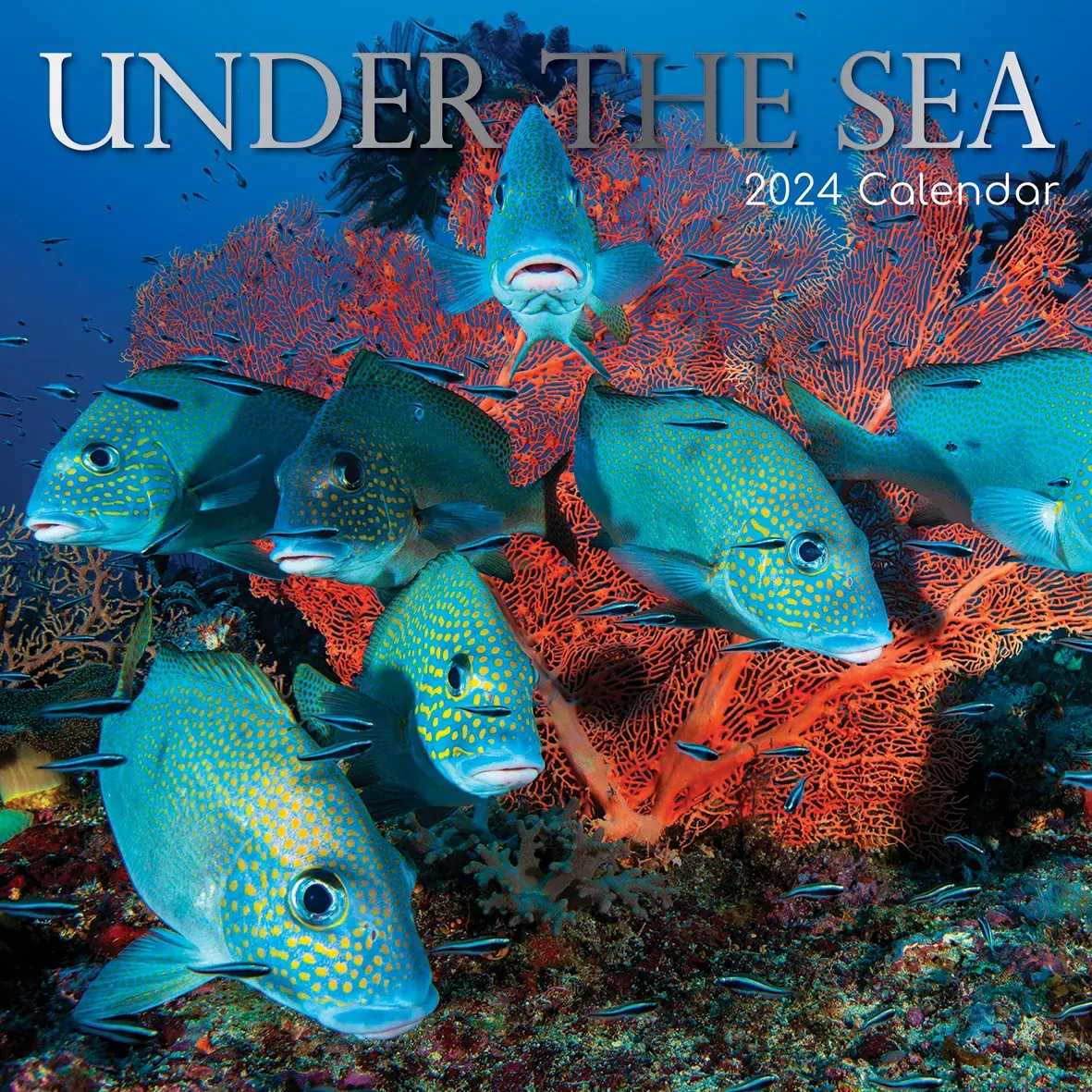 Under the Sea 2024 Square Wall Calendar 16 Month Planner Christmas New Year Gift Under the Sea 2024 Square Wall Calendar 16 Month Planner Christmas New Year Gift