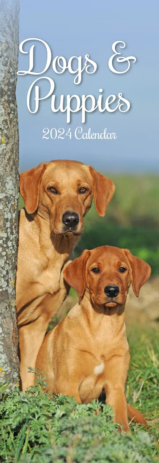 Dogs & Puppies - 2024 Slimline Slim Wall Calendar Hanging Planner New Year Gift Dogs & Puppies - 2024 Slimline Slim Wall Calendar Hanging Planner New Year Gift