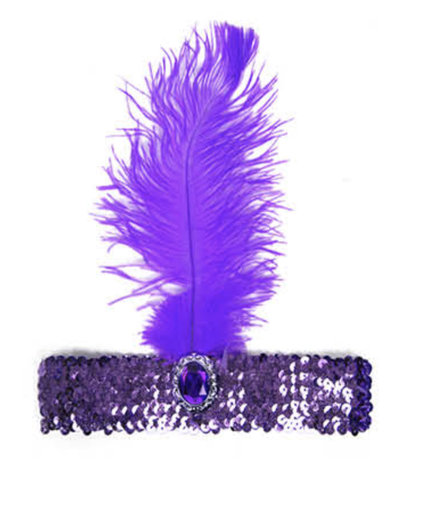 1920s FLAPPER HEADBAND Headpiece Feather Sequin Charleston Costume Gatsby Dance - Purple 1920s FLAPPER HEADBAND Headpiece Feather Sequin Charleston Costume Gatsby Dance - Purple