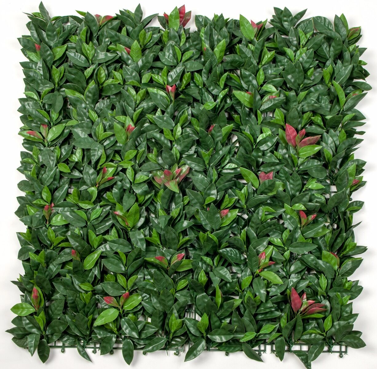 Photinia (Red Robin) Leaf Screens / Panels UV Stabilised 1m X 1m Photinia (Red Robin) Leaf Screens / Panels UV Stabilised 1m X 1m