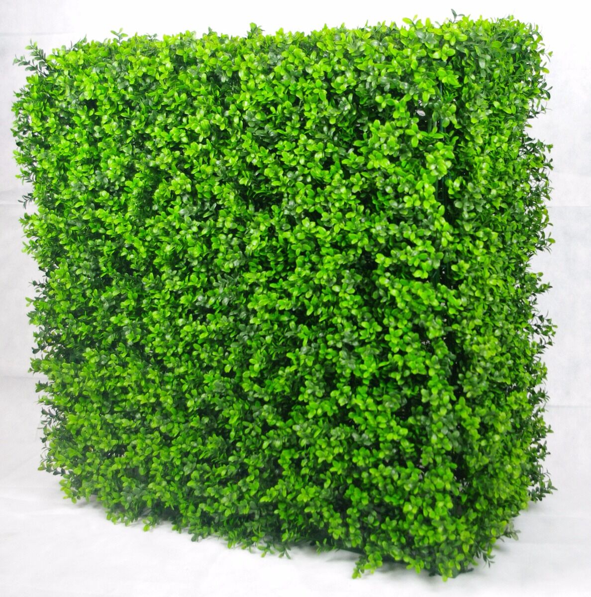 Portable Buxus Hedge UV Stabilised 75cm X 75cm Portable Buxus Hedge UV Stabilised 75cm X 75cm