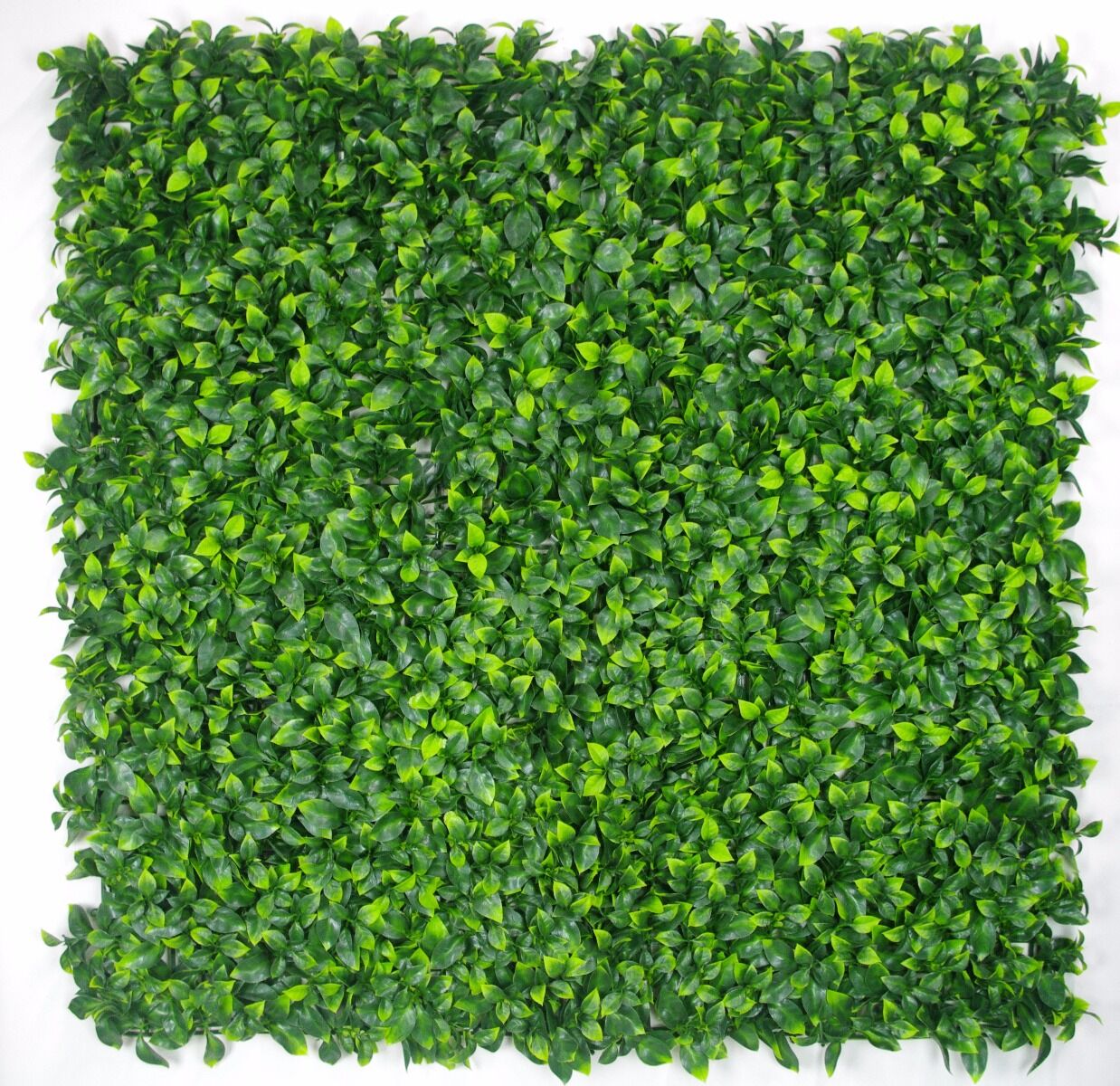 Jasmine Leaf Screens / Panels UV Stabilised 1m X 1m Jasmine Leaf Screens / Panels UV Stabilised 1m X 1m