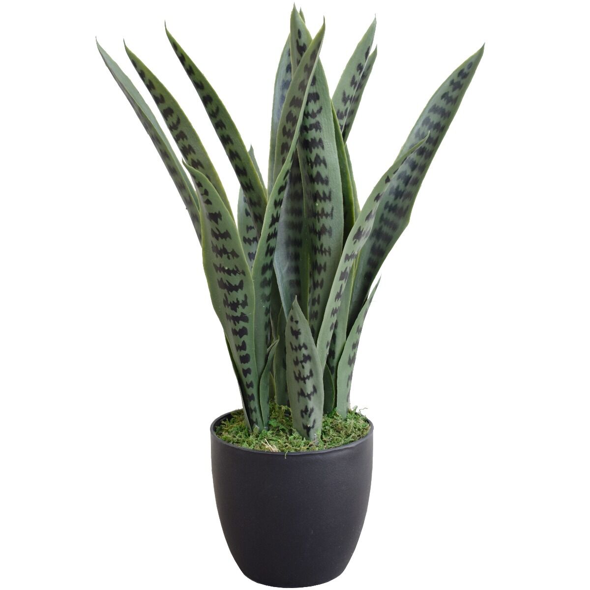 Artificial Snake Plant UV Resistant 60cm Artificial Snake Plant UV Resistant 60cm