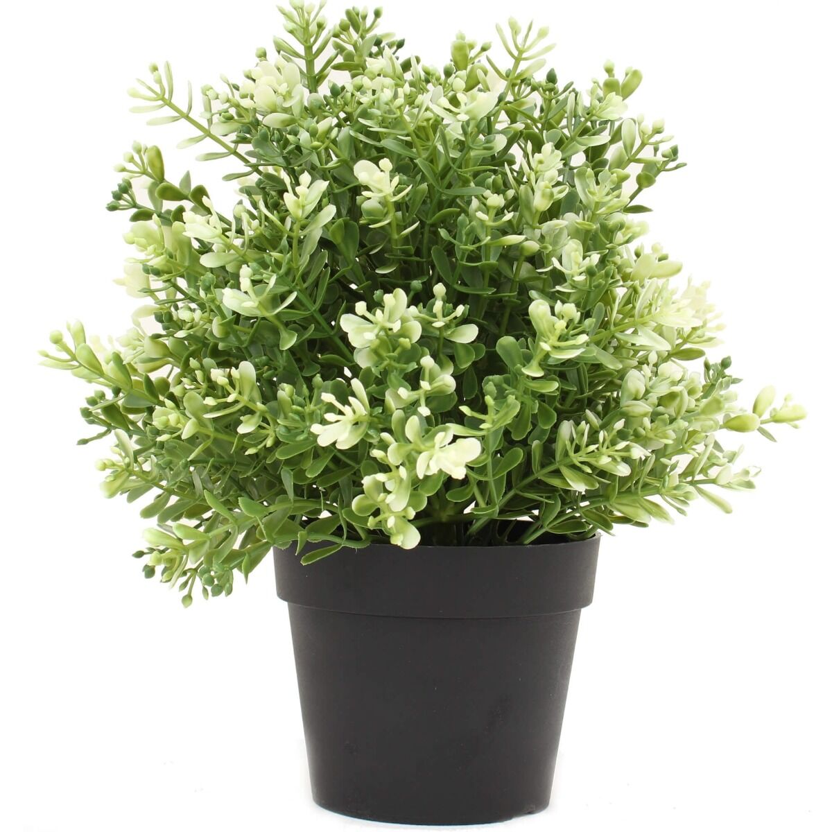 Small Potted Artificial White Jade Plant UV Resistant 20cm Small Potted Artificial White Jade Plant UV Resistant 20cm