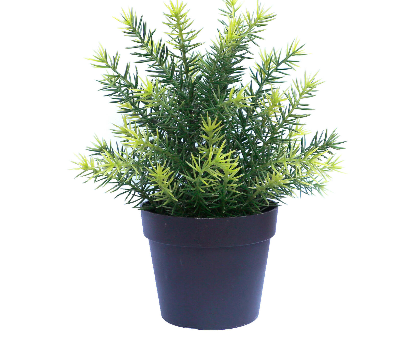 Small Potted Artificial Native Grass Plant UV Resistant 20cm Small Potted Artificial Native Grass Plant UV Resistant 20cm