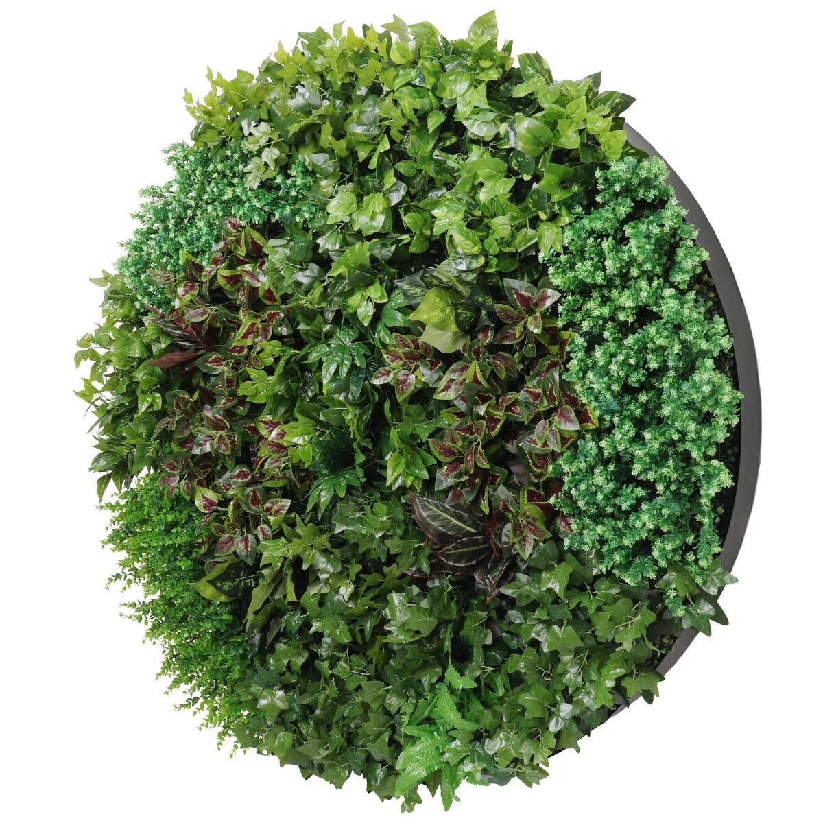 Artificial Green Wall Disk Art 150cm - Dense Green Sensation - Black Frame Artificial Green Wall Disk Art 150cm - Dense Green Sensation - Black Frame
