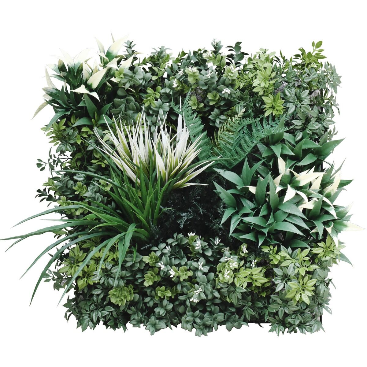 Bespoke Vertical Garden Green Wall UV Resistant SAMPLE 45cm x 45cm Bespoke Vertical Garden Green Wall UV Resistant SAMPLE 45cm x 45cm