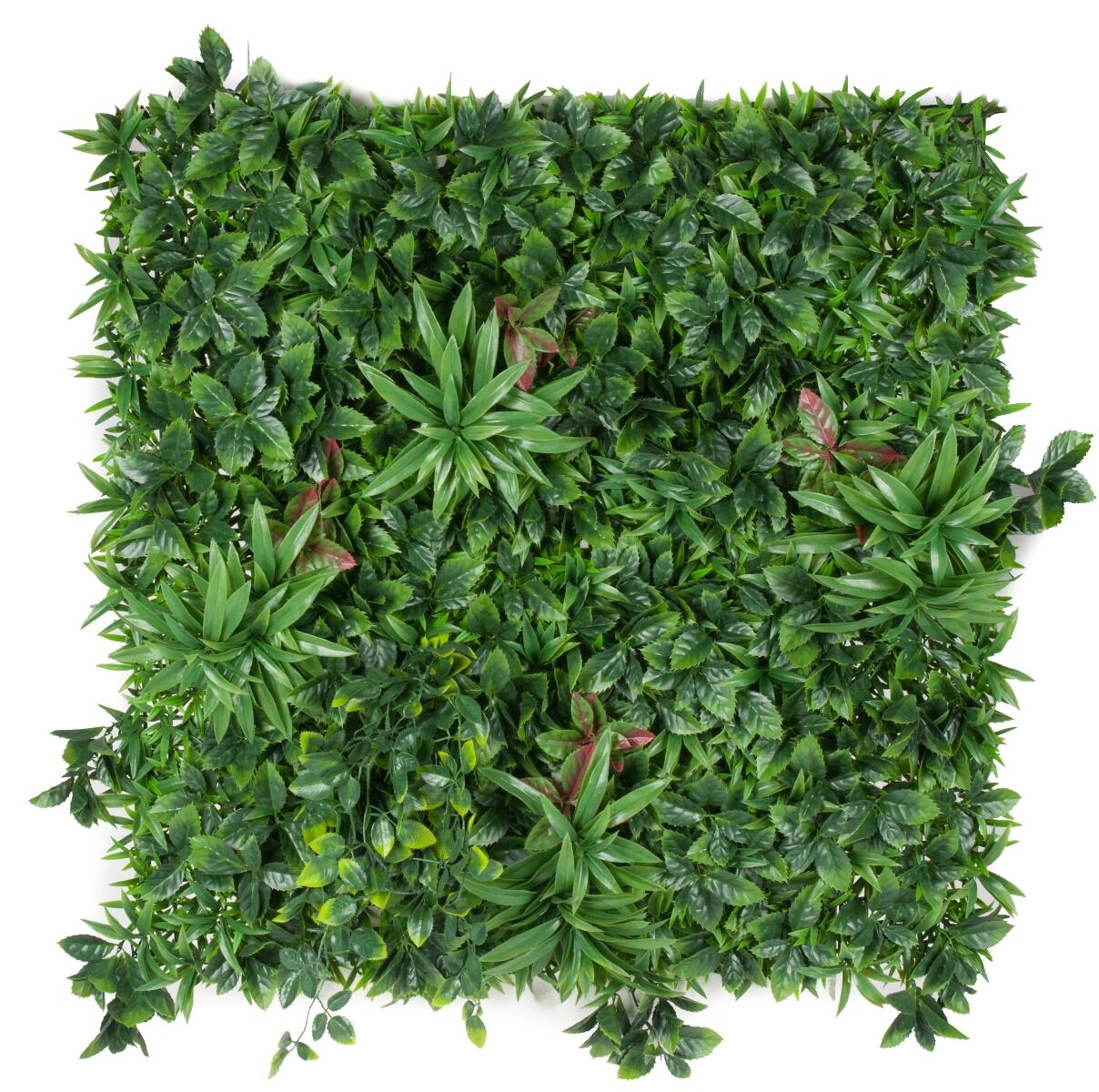 Green Meadows Vertical Garden UV Stabilised 1m X 1m Green Meadows Vertical Garden UV Stabilised 1m X 1m