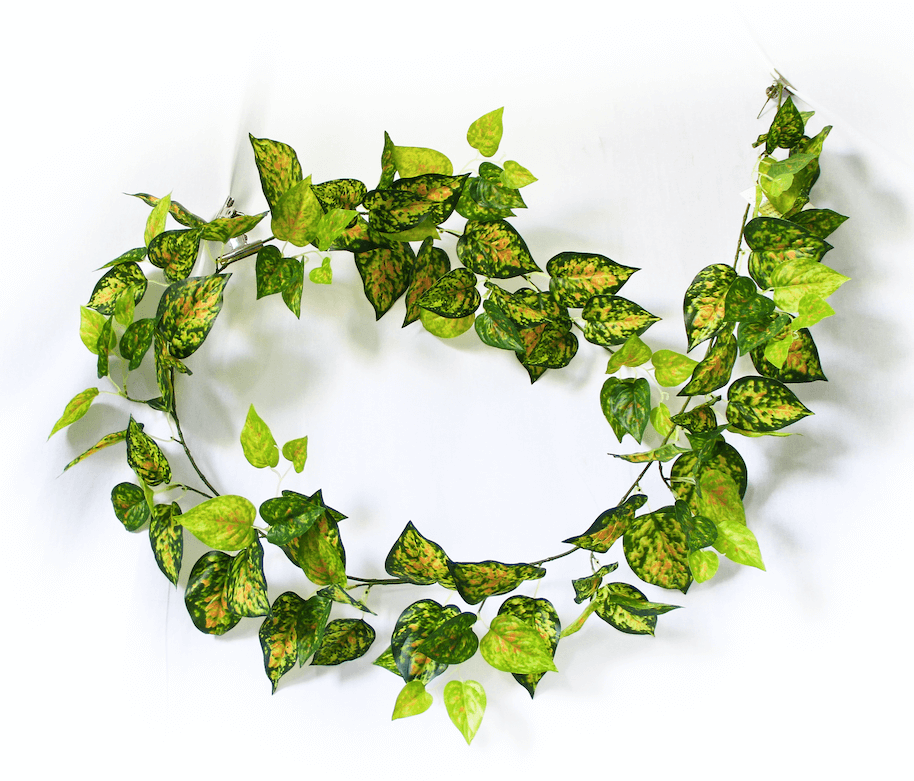 Mixed Yellow and Red Pothos Garland 190cm Mixed Yellow and Red Pothos Garland 190cm