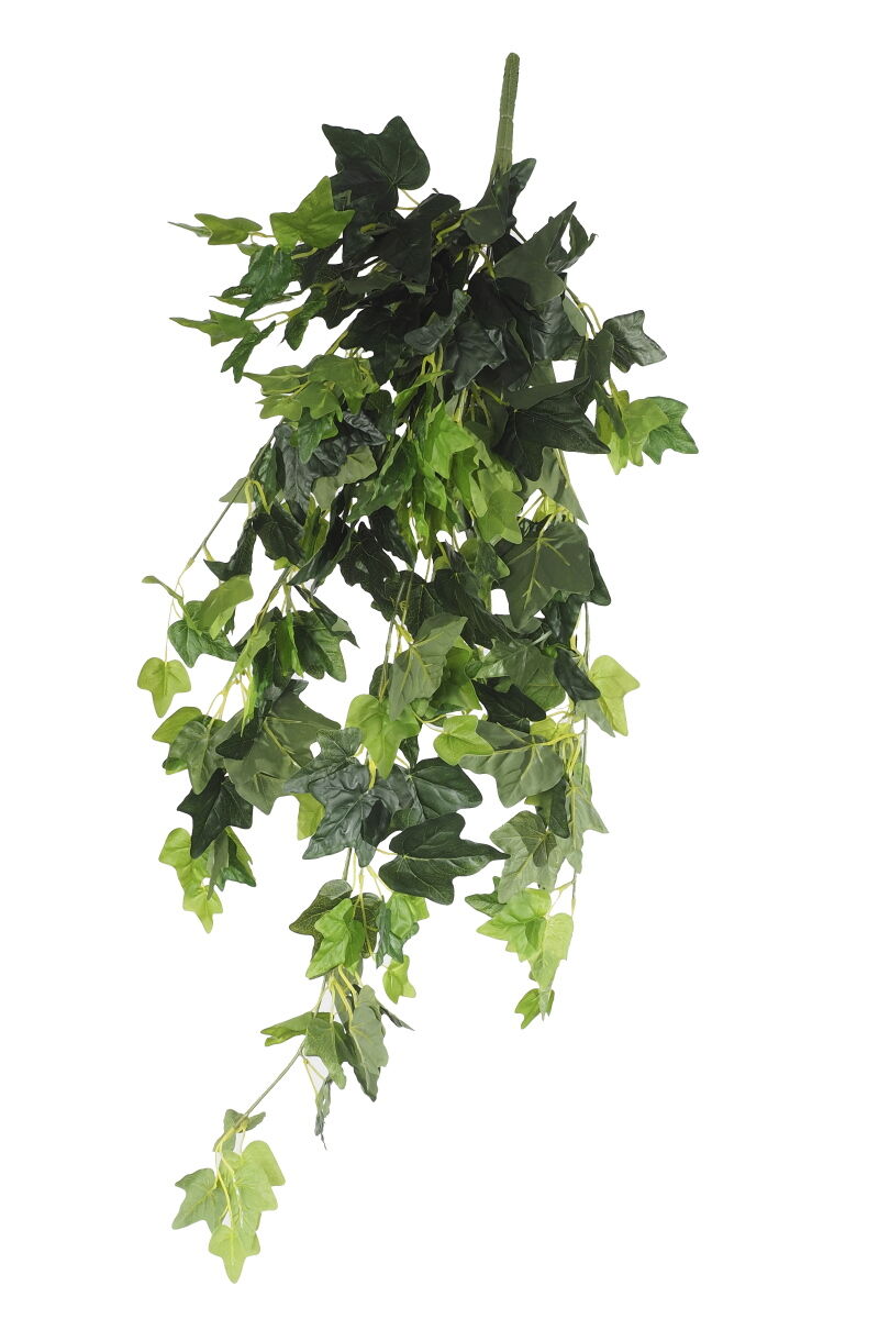 Hanging Green Ivy Bush 80cm Hanging Green Ivy Bush 80cm