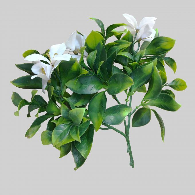 White Flowering Jasmine Stem UV Resistant 30cm White Flowering Jasmine Stem UV Resistant 30cm
