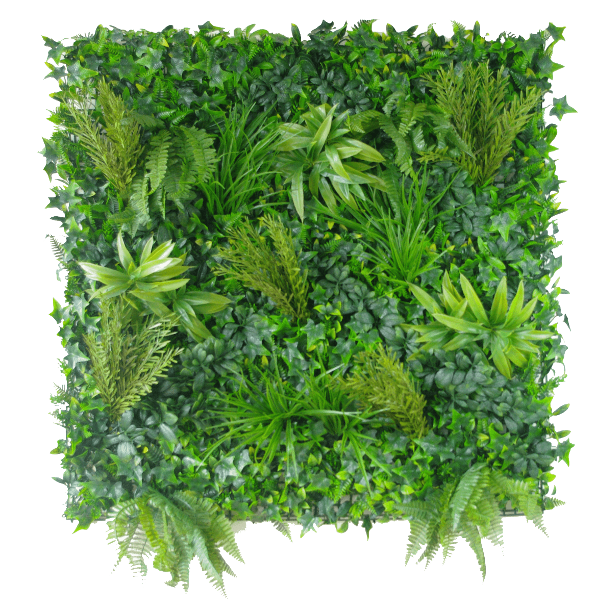 Native Tea Tree Vertical Garden / Green Wall UV Resistant 100cm x 100cm Native Tea Tree Vertical Garden / Green Wall UV Resistant 100cm x 100cm