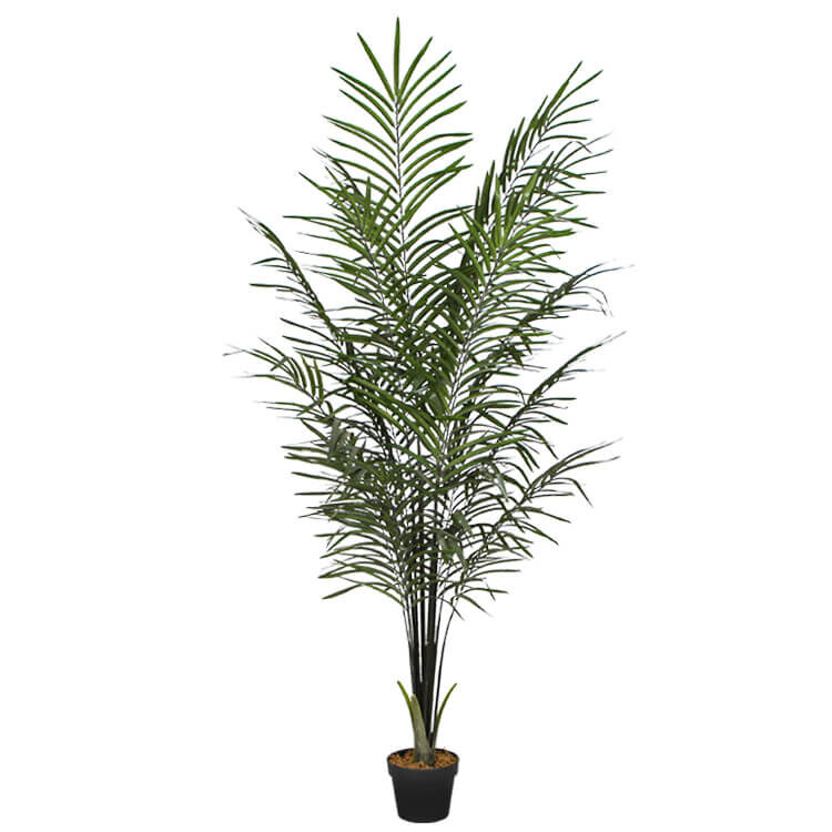 Artificial Areca Palm Black Trunks 190 cm Artificial Areca Palm Black Trunks 190 cm