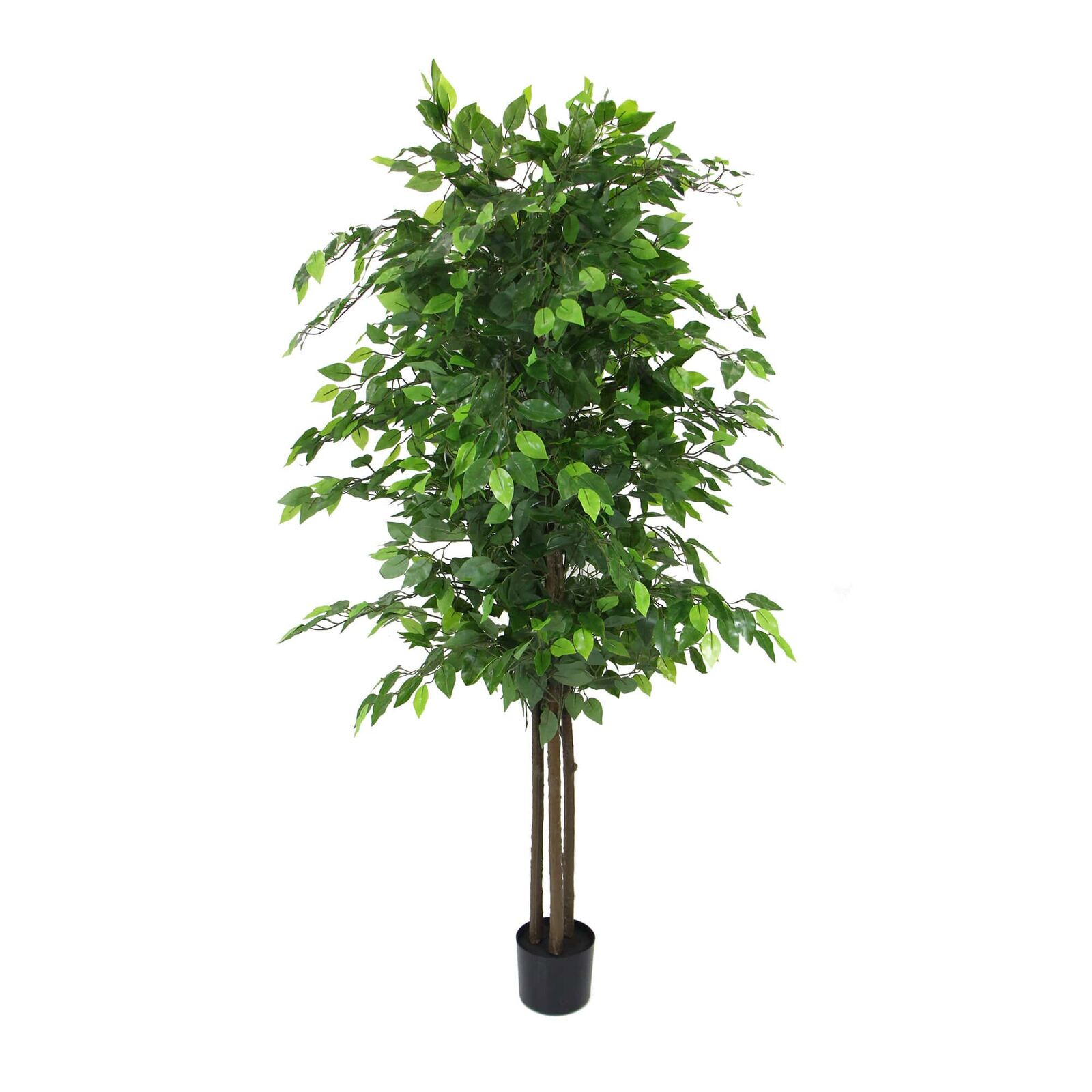 Artificial Ficus Tree 180cm Nearly Natural UV Resistant Artificial Ficus Tree 180cm Nearly Natural UV Resistant