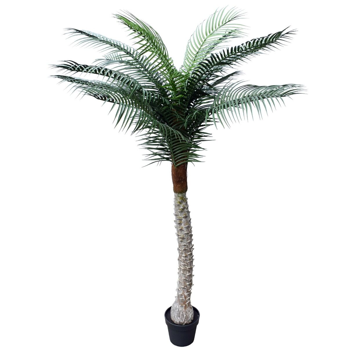 Tropical Palm Tree 170cm UV Resistant Tropical Palm Tree 170cm UV Resistant