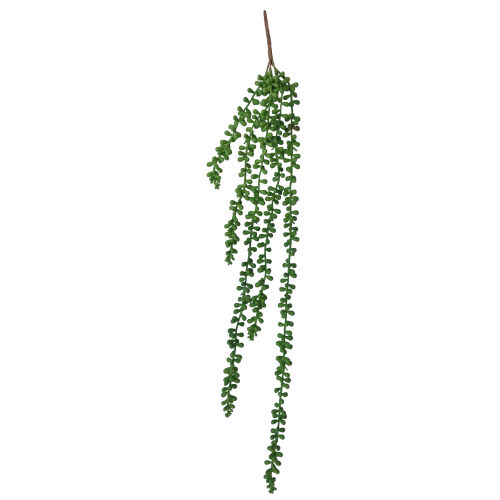 Hanging Succulent String of Pearl Beads 75cm Hanging Succulent String of Pearl Beads 75cm