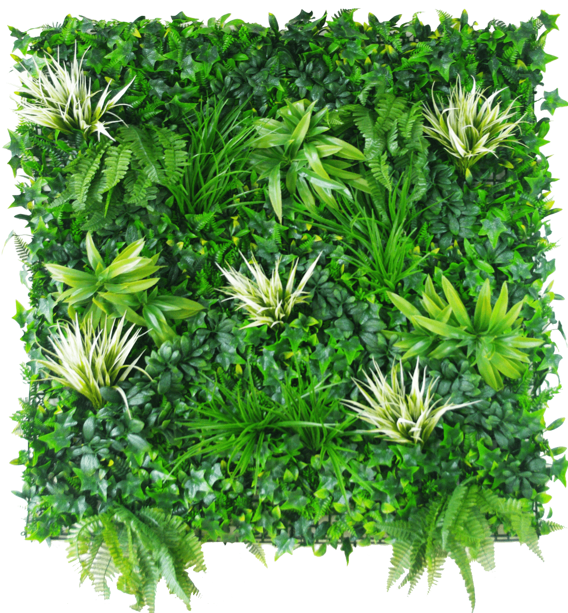 White Grassy Greenery Vertical Garden / Green Wall UV Resistant 100cm x 100cm White Grassy Greenery Vertical Garden / Green Wall UV Resistant 100cm x 100cm