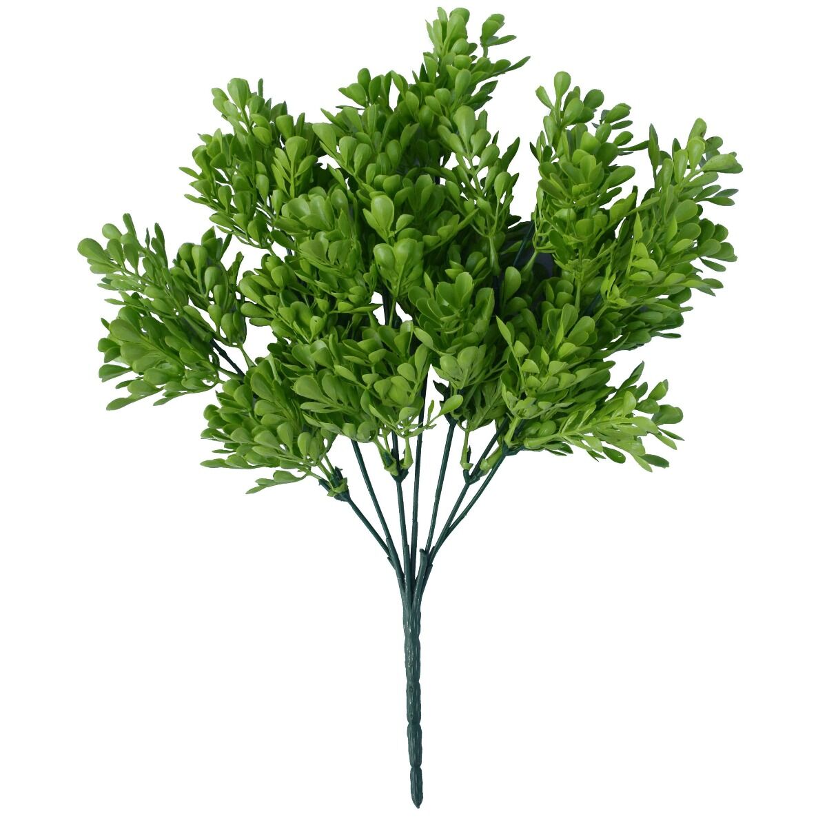 Vivid Green Wide Eucalypts Plant 32cm UV Resistant Vivid Green Wide Eucalypts Plant 32cm UV Resistant