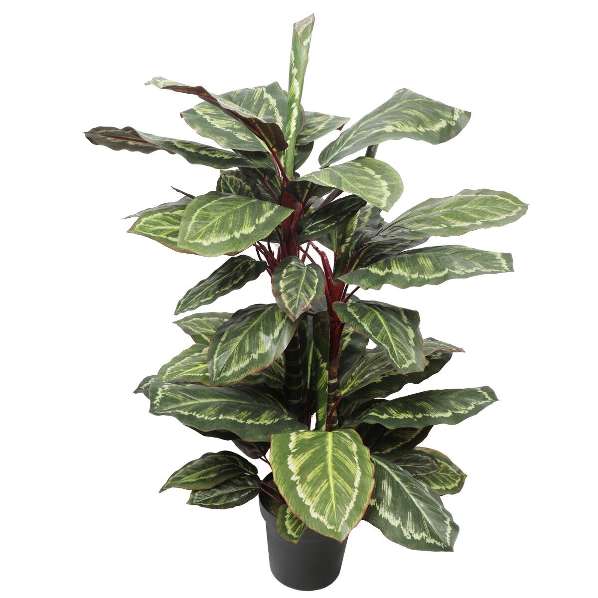 Artificial Wide Leaf Cordyline Plant 90cm Artificial Wide Leaf Cordyline Plant 90cm