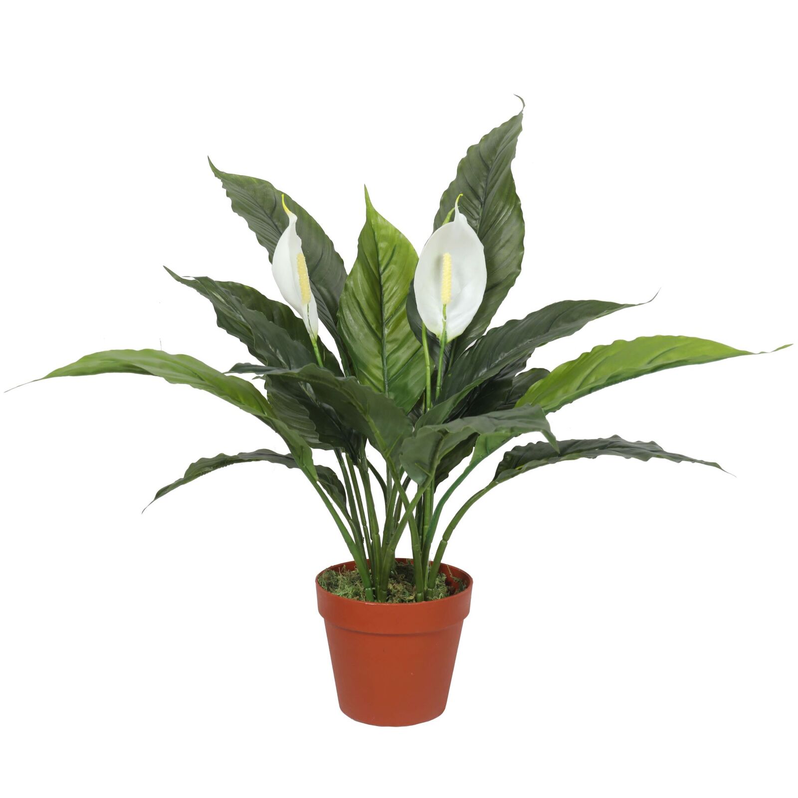 Artificial Spathiphyllum Peace Lily Plant with White Flowers 60cm Artificial Spathiphyllum Peace Lily Plant with White Flowers 60cm