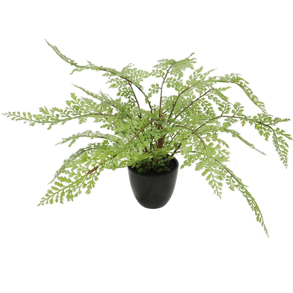 Faux Small Potted Fern 35cm Faux Small Potted Fern 35cm