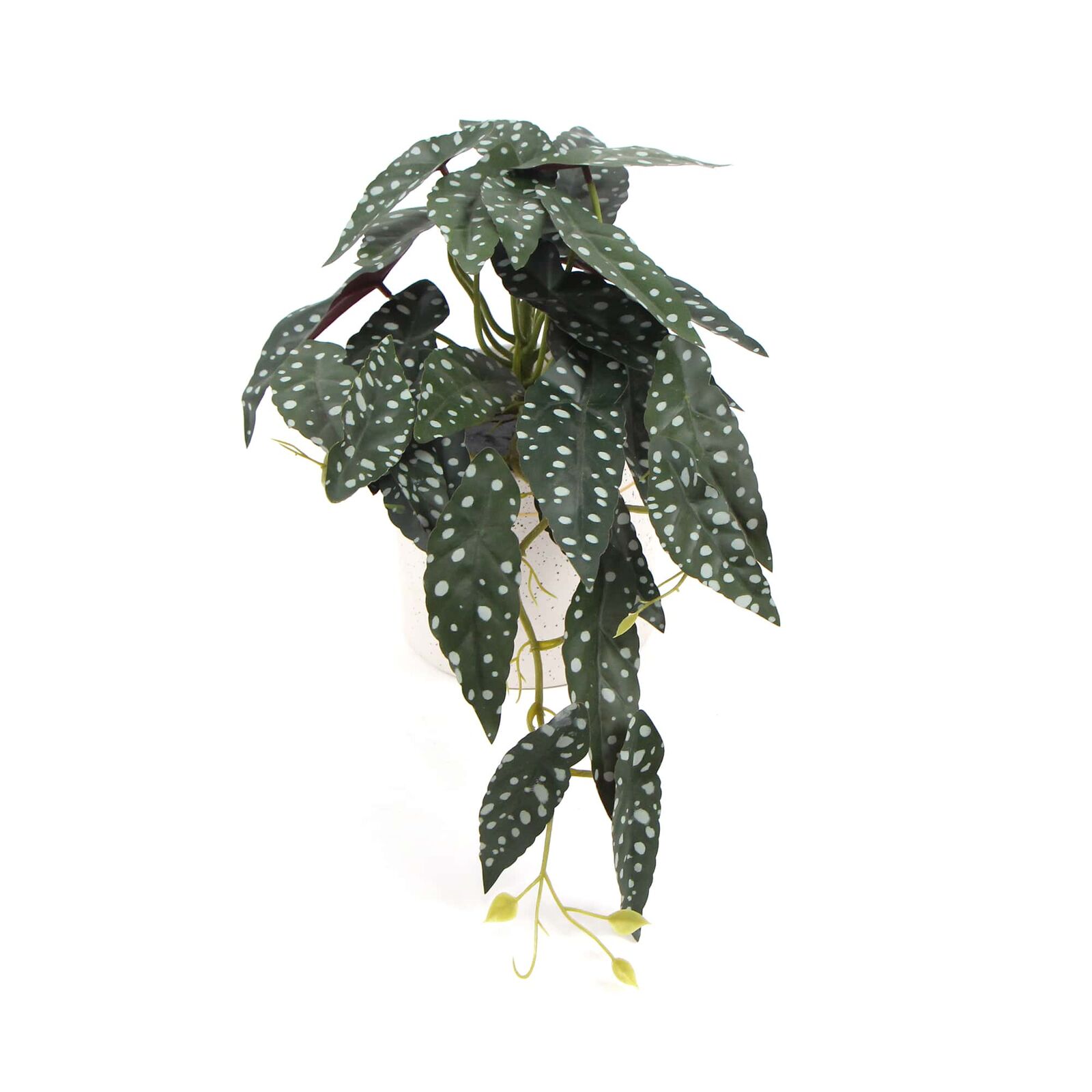 Artificial Bergonia Plant In Decorative Bowl 30cm Artificial Bergonia Plant In Decorative Bowl 30cm