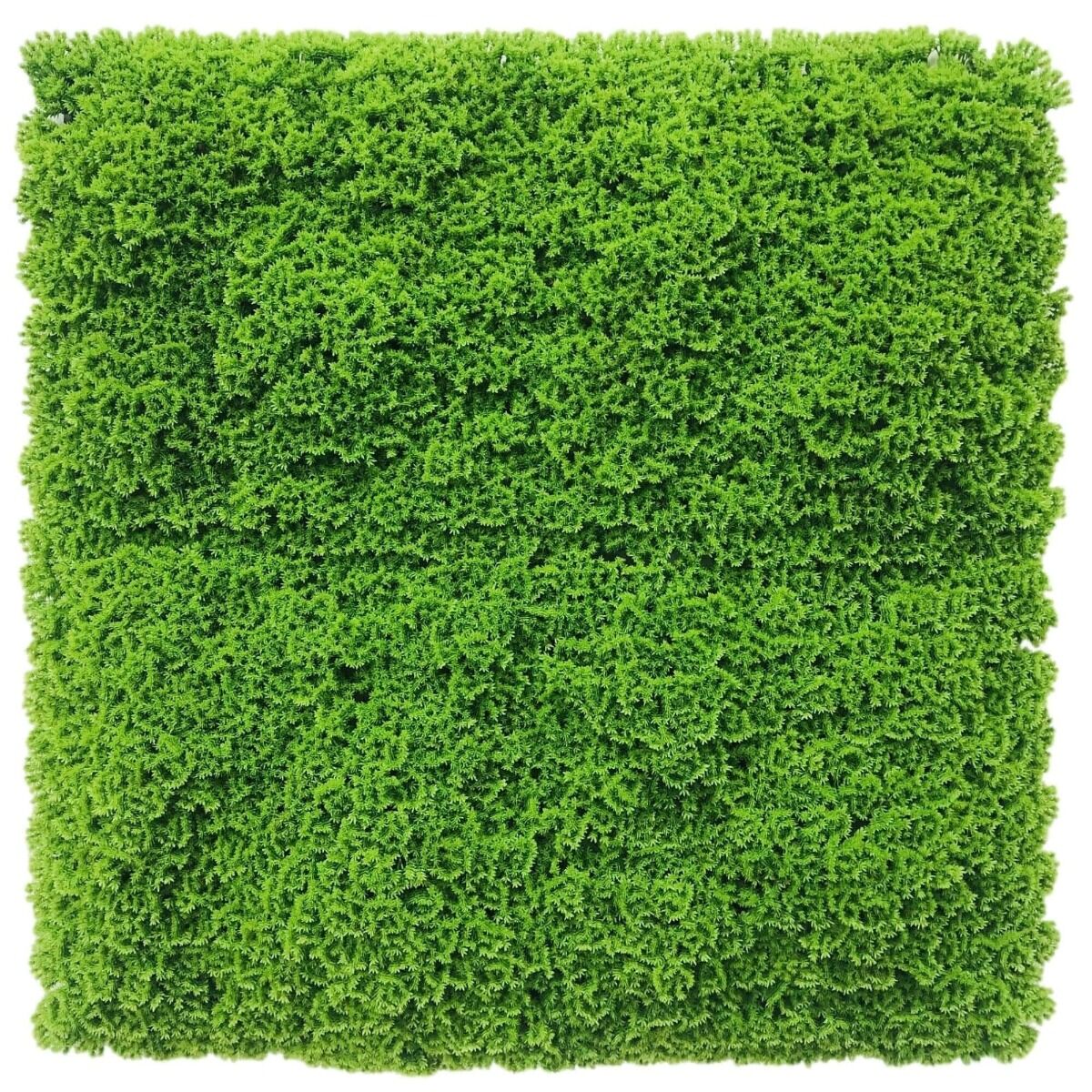Fresh Natural Green Artificial Moss / Green Wall UV Resistant 1m x 1m Fresh Natural Green Artificial Moss / Green Wall UV Resistant 1m x 1m