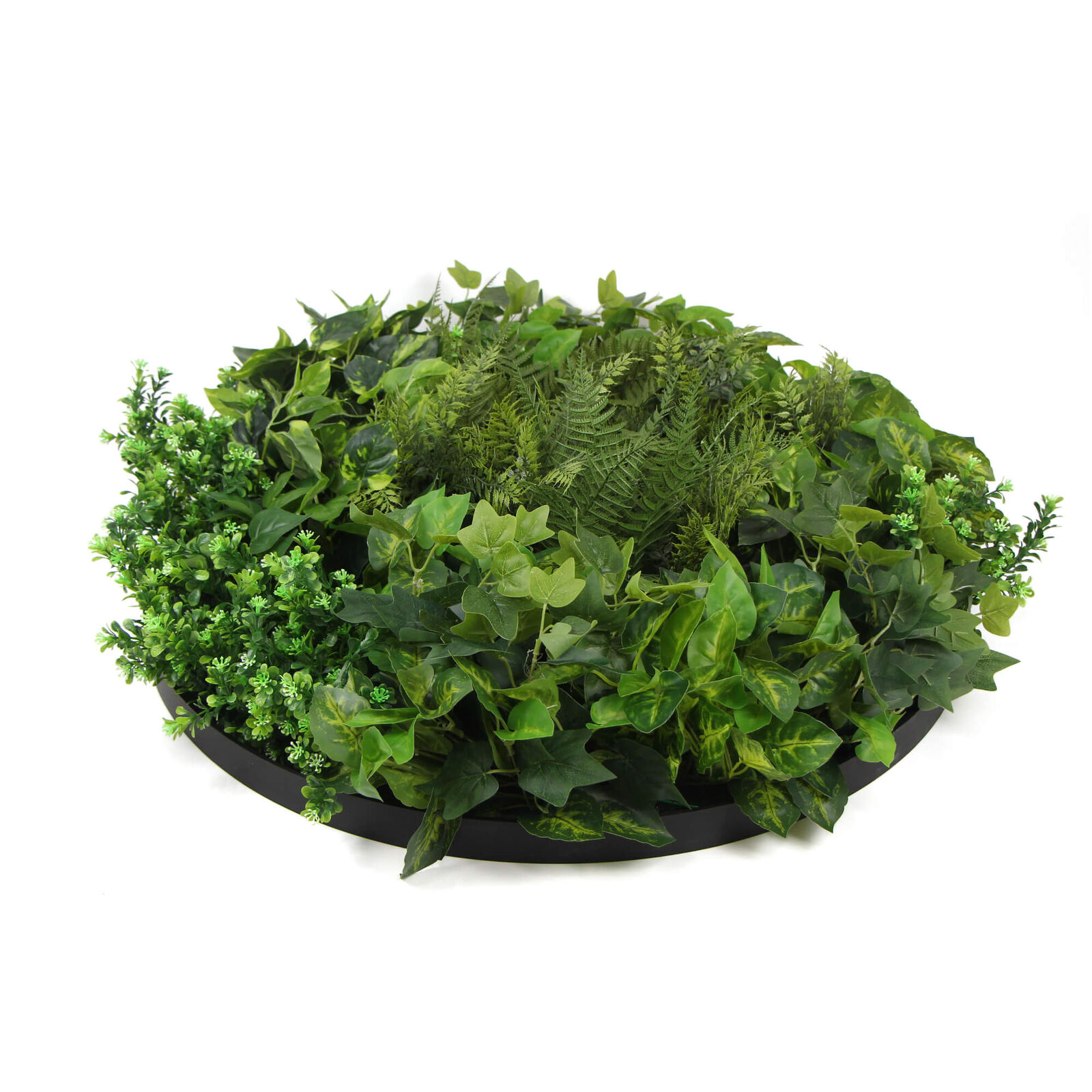 Slimline Artificial Green Wall Disc Art 80cm Mixed Green Fern & Ivy (Modern Black) Slimline Artificial Green Wall Disc Art 80cm Mixed Green Fern & Ivy (Modern Black)