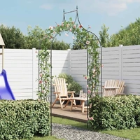 Garden Arch Spike Design Climbing Plants Dark Green
