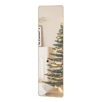 Yezi Wall Mounted Full Length Mirror