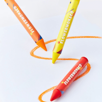  Palmy Crayons 16 Colours