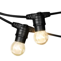  20M Festoon String Lights Kits