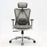Sihoo M57 Ergonomic Office Chair, Computer Chair Desk Chair High Back Chair Breathable,3D Armrest and Lumbar Support without Foodrest