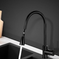 Pull-out Mixer Faucet Tap