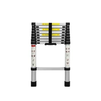  Multipurpose Ladder Telescopic 2.6M Silver 2.6 Meter