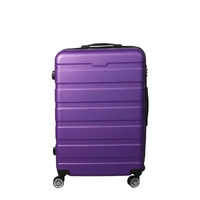  24" Luggage Case Suitcase Purple 24 inch