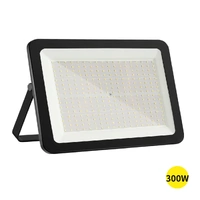 LED Flood Light 300W Outdoor