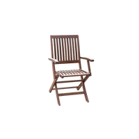 Maculata Folding Arm Chair