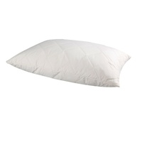 Dreamaker Magnetic Pillow