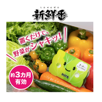 [6-PACK] Japan Refrigerate Vegetables for Long-term Preservation