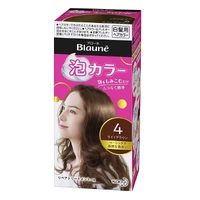 [6-PACK] Japan Blaune White Hair With Foam Hair Dye Natural Series 108ml ( 7 Colors Available ) Light Brown