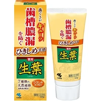 [6-PACK] KOBAYASHI Japan Toothpaste Fresh Leaves Tightening Real Type 100g