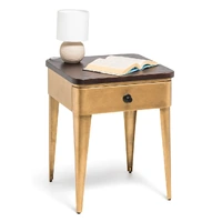 Burtonsville Modern Bedside Table in Brass Finish with Storage Drawer and Wood Top