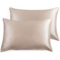 Gioia Casa Luxury Pillowcase 2 Pack - 100% Pure Mulberry Silk on Both Sides - Champagne