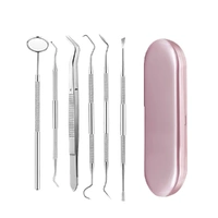 Stainless Steel Dental Tools Set Oral Care Kit with Metal Storage Case