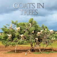 Goats in Trees - 2024 Square Wall Calendar Pets Animals 16 Month New YearPlanner