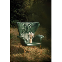 Vintage Butterfly Armchair with Gold Steel Legs Green