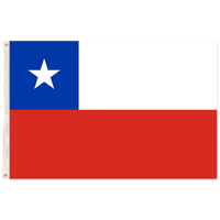Chile Country Flag National Olympics 150cm x 90cm Chileno Chili Chi Chi Chi